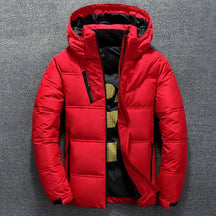 Jaqueta Masculina Puffer Piannaro PN161 em poliéster com forro acolchoado e zíper de alumínio.