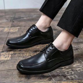 Sapato Masculino Derby em Couro Piannaro PN355 em marrom e preto, com design clássico e sola vulcanizada.