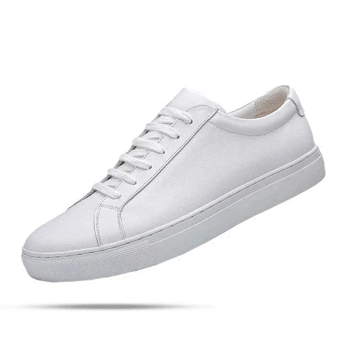 Tênis Masculino em Couro Piannaro PN309 com design elegante e confortável.